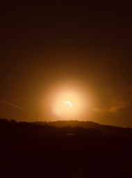 IMG_5654