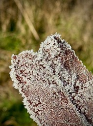 IMG_5984