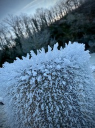 IMG_6016