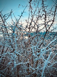 IMG_6086